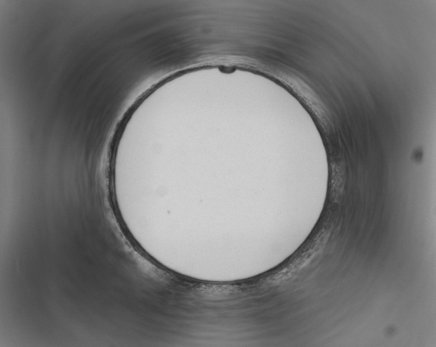 X0000116851046201001191636