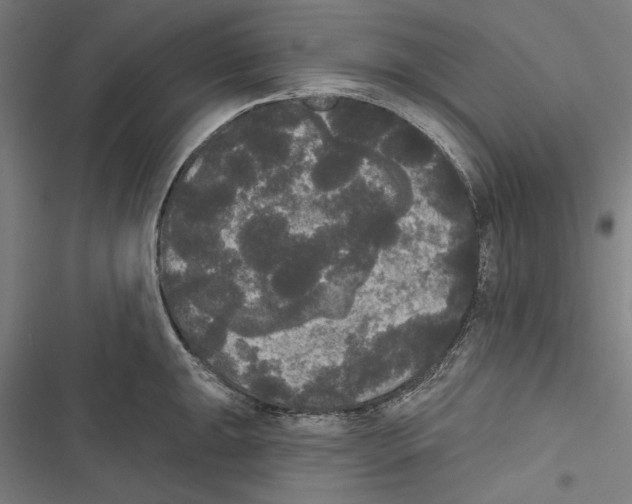 X0000116851047201001191636