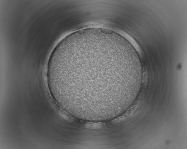 X0000116851051201001191636