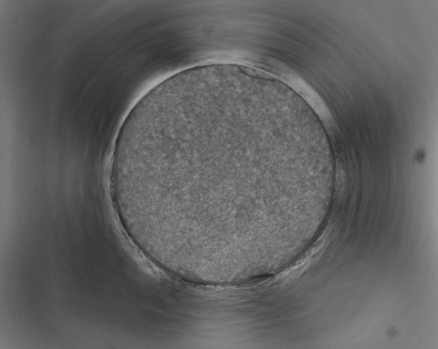 X0000116851052201001191636
