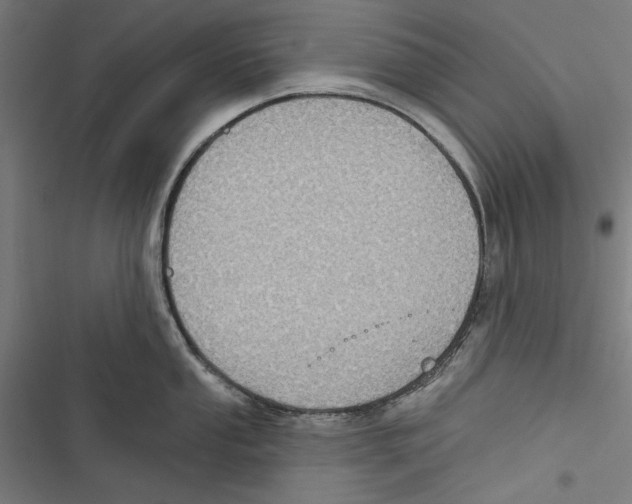 X0000116851053201001191636