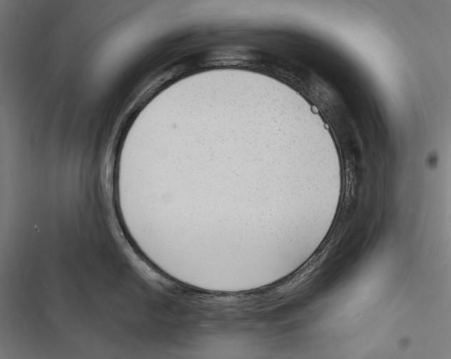 X0000116851054201001191636