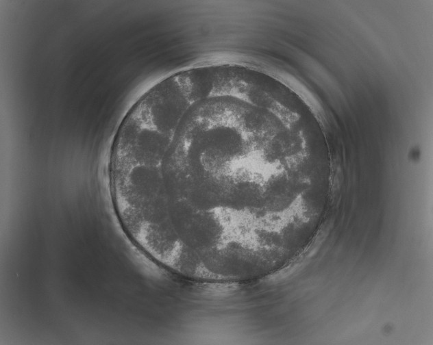 X0000116851055201001191636