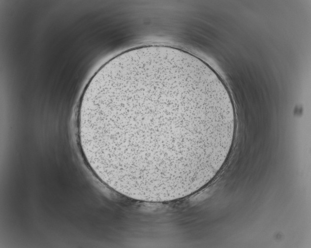 X0000116851056201001191636