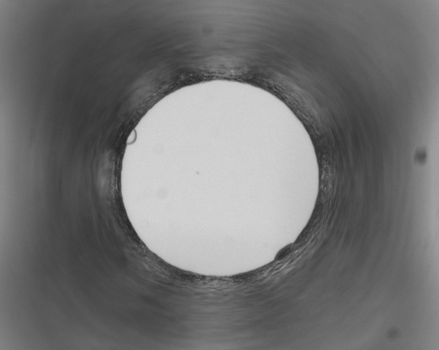 X0000116851058201001191636