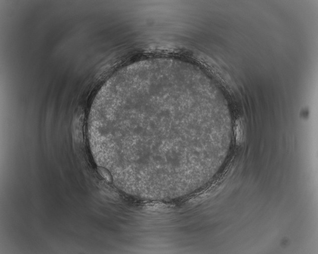 X0000116851059201001191636