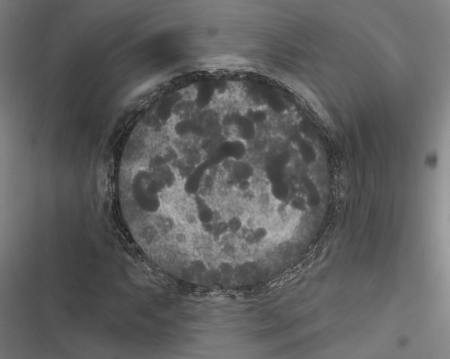 X0000116851063201001191636