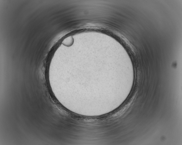 X0000116851066201001191636