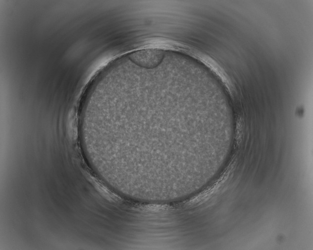 X0000116851067201001191636