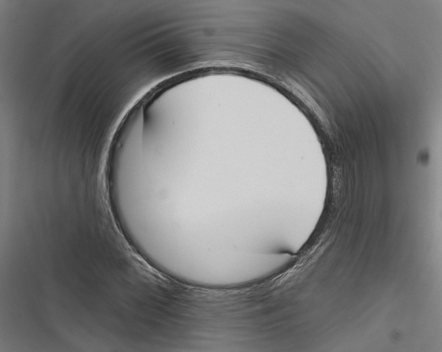 X0000116851068201001191636