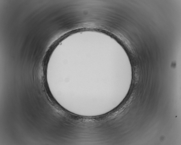 X0000116851070201001191635