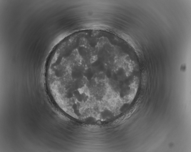 X0000116851071201001191635