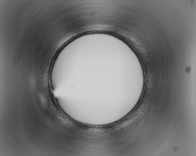 X0000116851073201001191635
