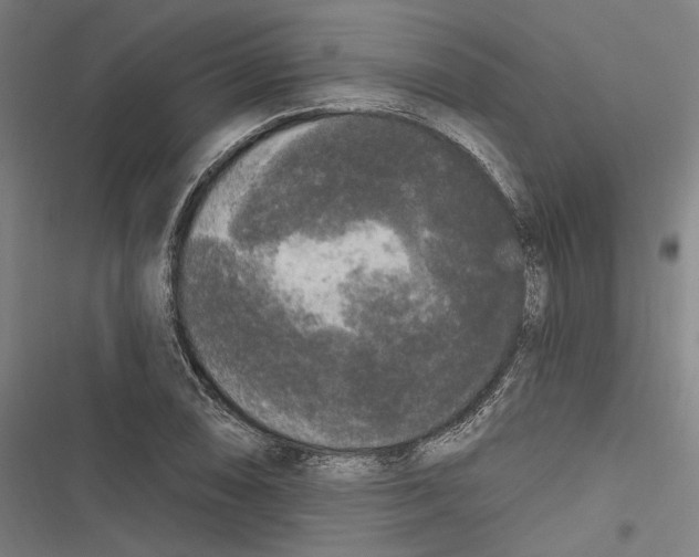 X0000116851074201001191635