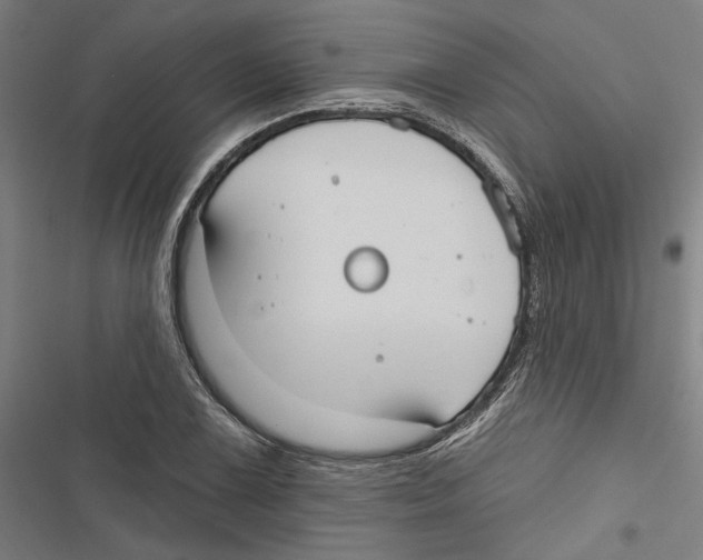 X0000116851075201001191635