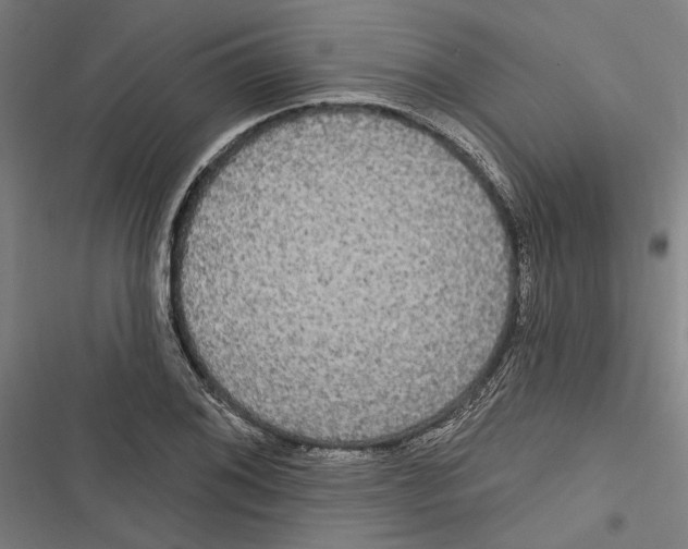 X0000116851076201001191635