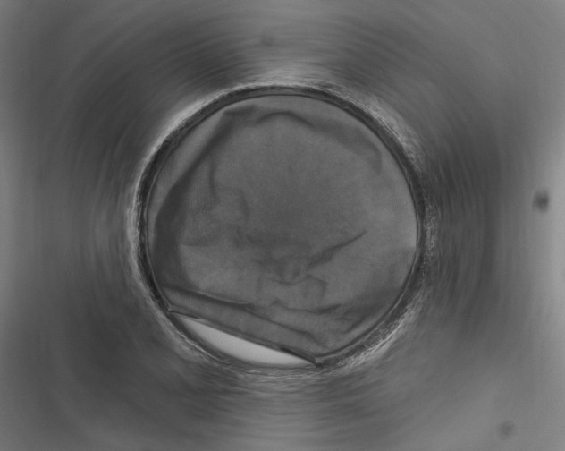 X0000116851077201001191635