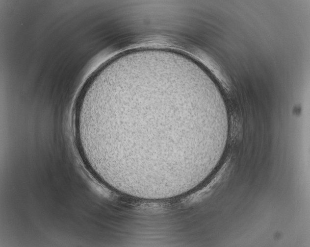 X0000116851078201001191635