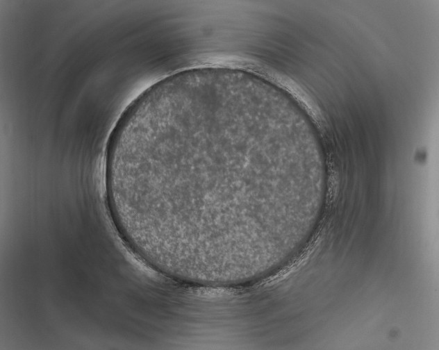 X0000116851079201001191635
