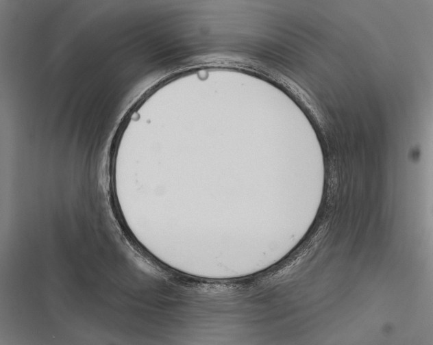 X0000116851082201001191635