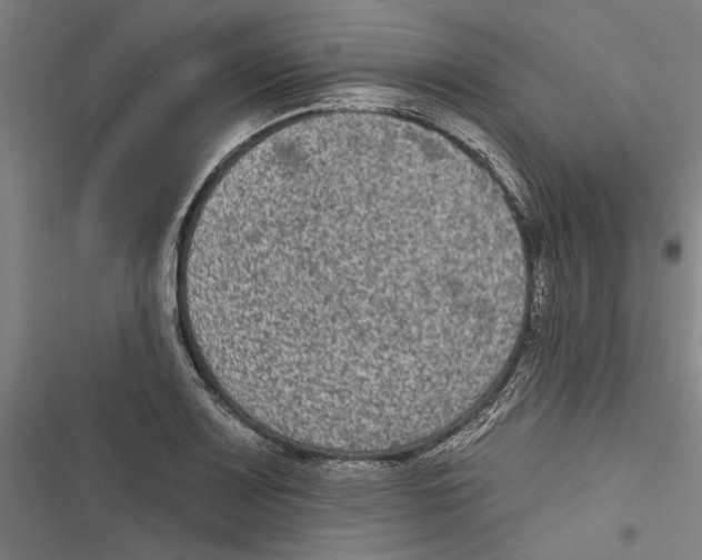 X0000116851083201001191635
