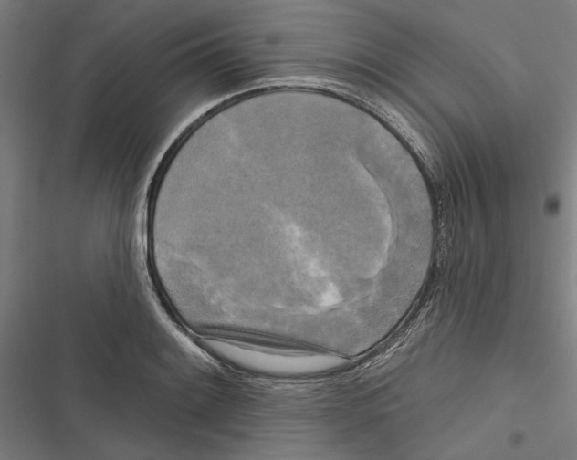X0000116851084201001191635