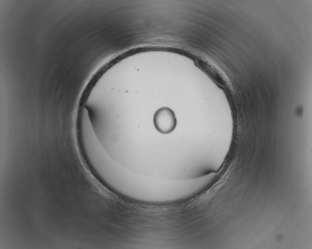 X0000116851085201001191635