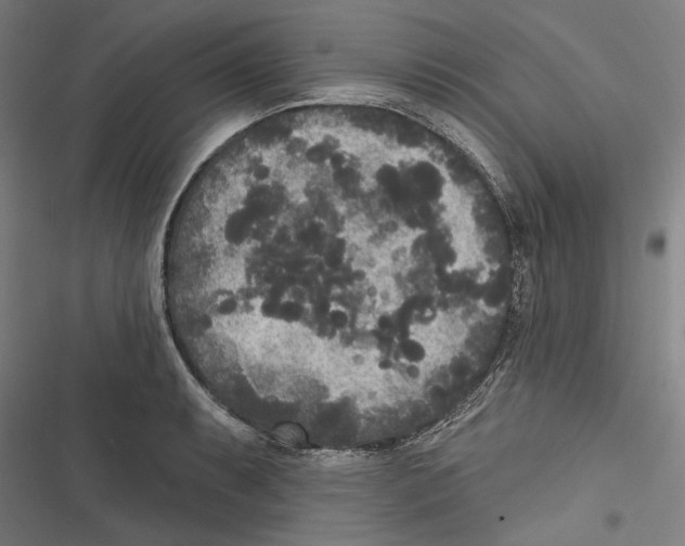 X0000116851087201001191635