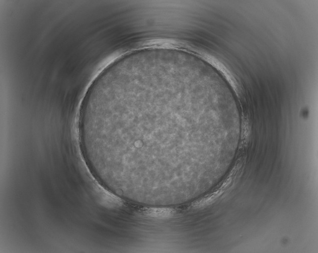 X0000116851090201001191635