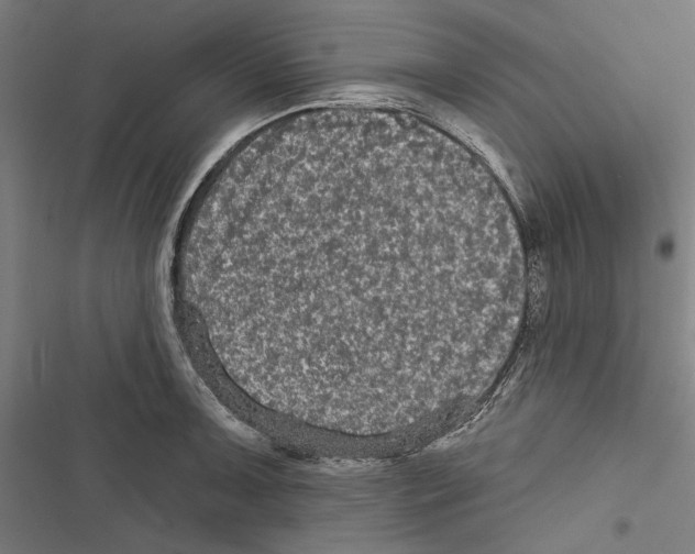 X0000116851091201001191635