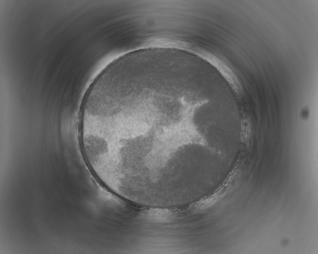 X0000116851094201001191635
