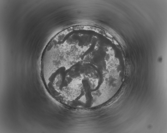 X0000116851095201001191635
