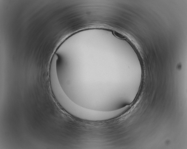 X0000116851097201001191635