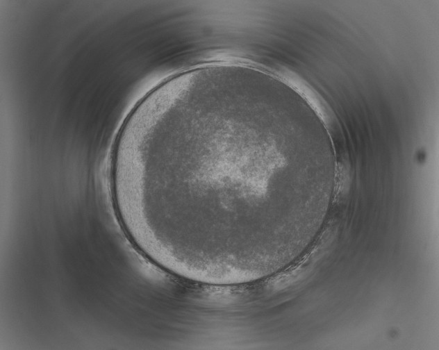 X0000116851098201001191635