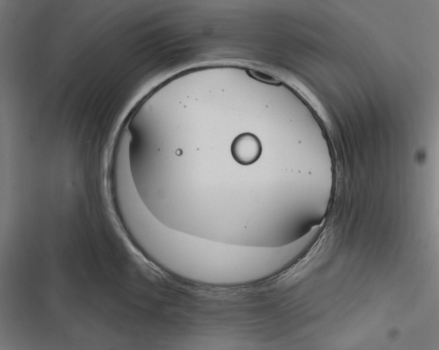 X0000116851101201001191635