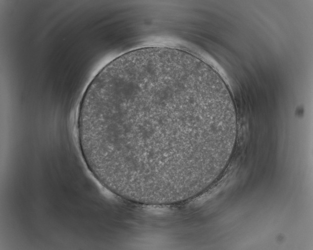 X0000116851103201001191635