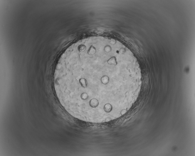 X0000116851105201001191634