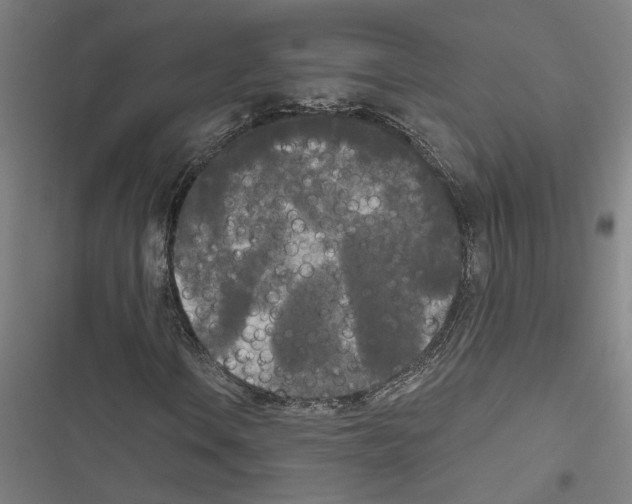 X0000116851106201001191634