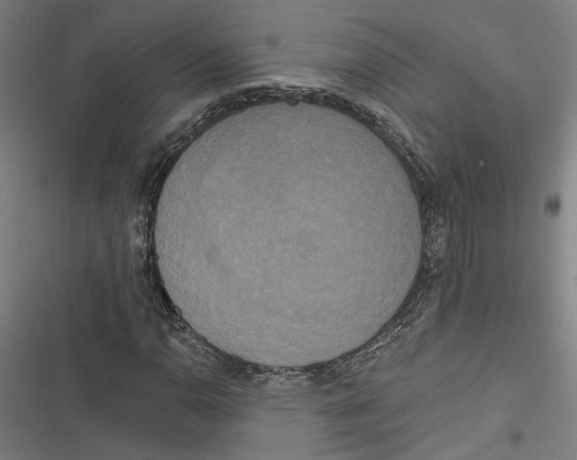 X0000116851110201001191634