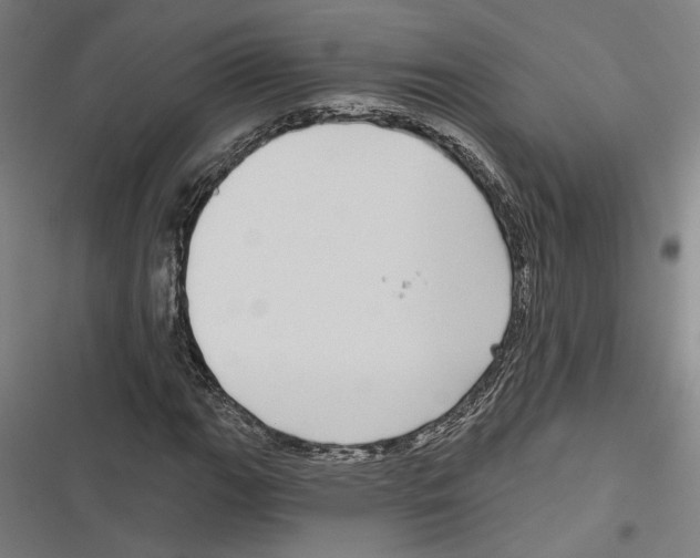 X0000116851111201001191634