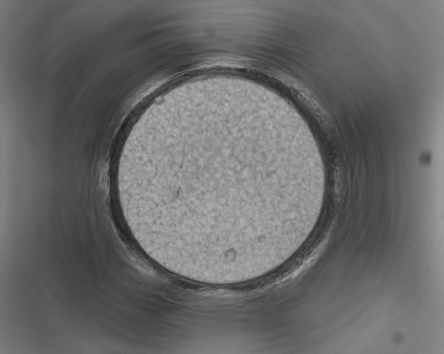 X0000116851113201001191634
