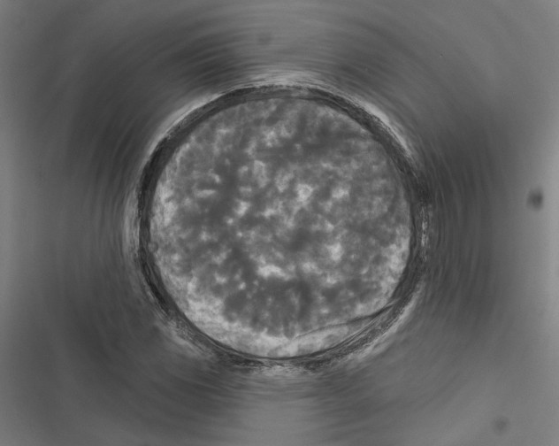 X0000116851117201001191635