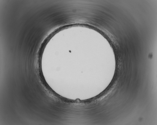 X0000116851118201001191635