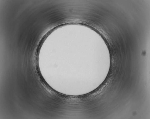 X0000116851119201001191635