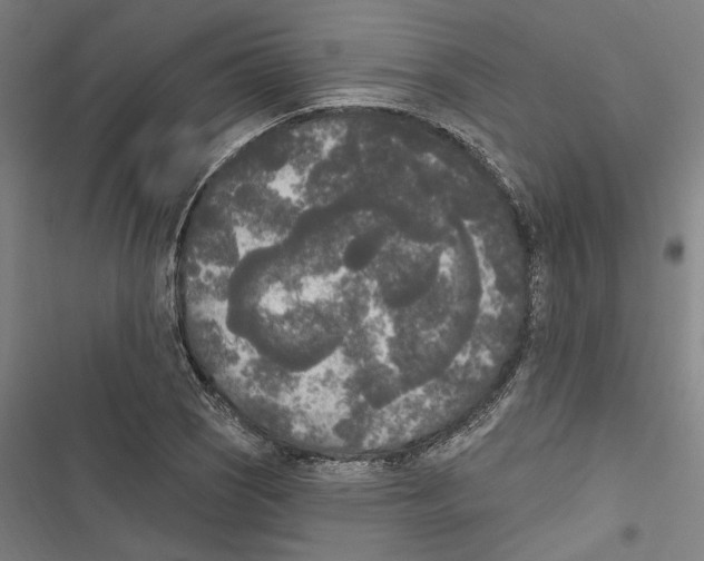 X0000116851121201001191635
