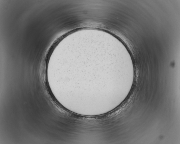 X0000116851123201001191635