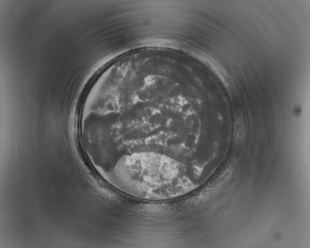 X0000116851125201001191635