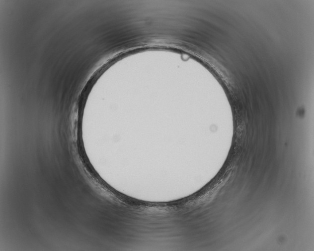 X0000116851126201001191635