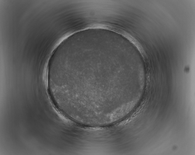 X0000116851127201001191635