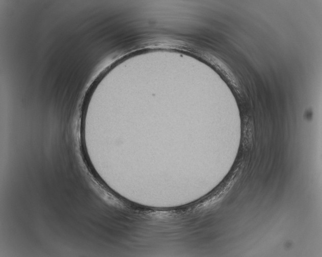 X0000116851130201001191635